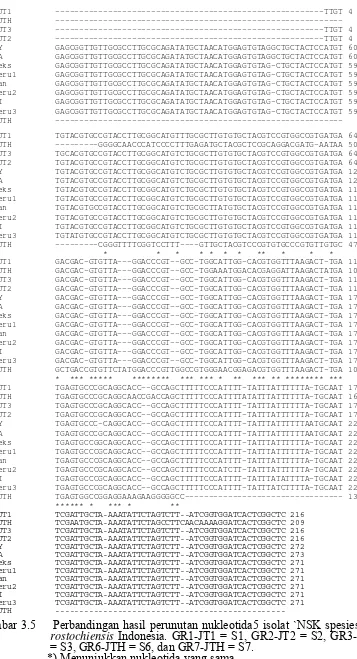 Gambar 3.5    Perbandingan hasil perunutan nukleotida5 isolat `NSK spesies G.   Indonesia