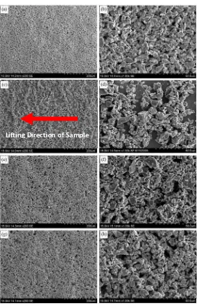 Figure 1: SEM micrographs of Ti deposits prepared using different charging agents.  (a), (b):  0.3 mM AlCl3; (c), (d): 0.3 wt% PEI with average molecular weight =10,000-25,000 amu mixed with 0.013 mM acetic acid protonating agent; (e), (f):  0.3 wt% PDADMA