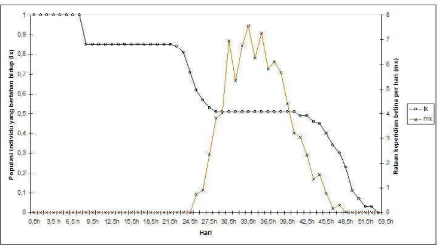 Gambar 7    Kurva lama hidup (lx) dan rataan keperidian betina per hari (mx)  B. tabaci non-B pada tanaman mentimun