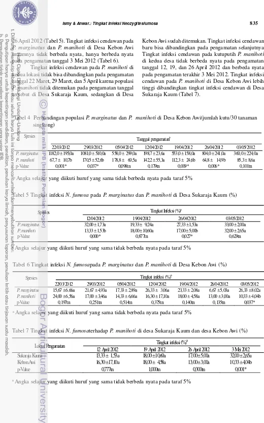 Tabel 4  Perbandingan populasi P. marginatus dan P.  manihoti di Desa Kebon Awi(jumlah kutu/30 tanaman