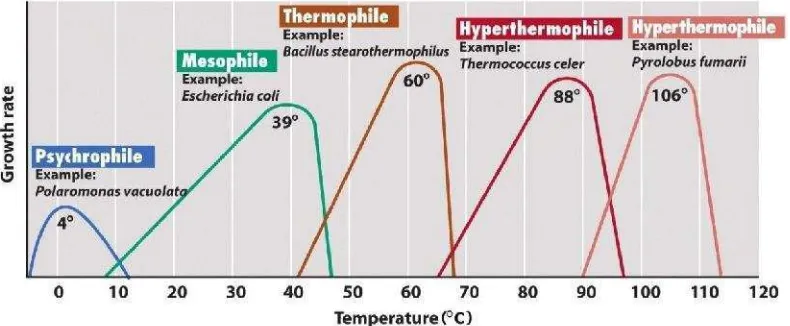 Gambar 2. Hubungan Suhu dan Pertumbuhan pada KelompokMikroorganisme dengan Temperatur yang Berbeda (Madigan,et al., 2009: 159).
