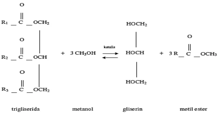 Gambar 1. Reaksi Transesterifikasi 