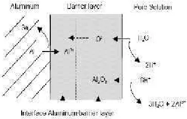 Gambar 4. Reaksi dimana pembentukan lapisan oksida (Juhl, 2005).Gambar 4. Reaksi dimana pembentukan lapisan oksida (Juhl, 2005).Gambar 4