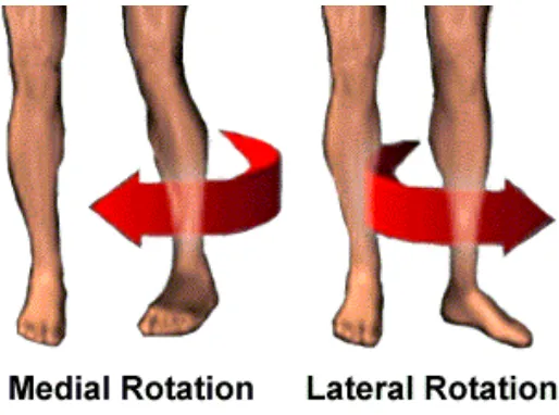 Figure 5: Medial and lateral rotational 
