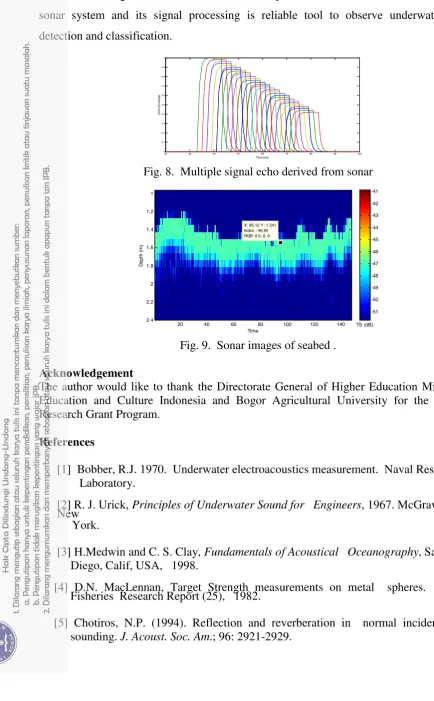 Fig. 8.  Multiple signal echo derived from sonar 