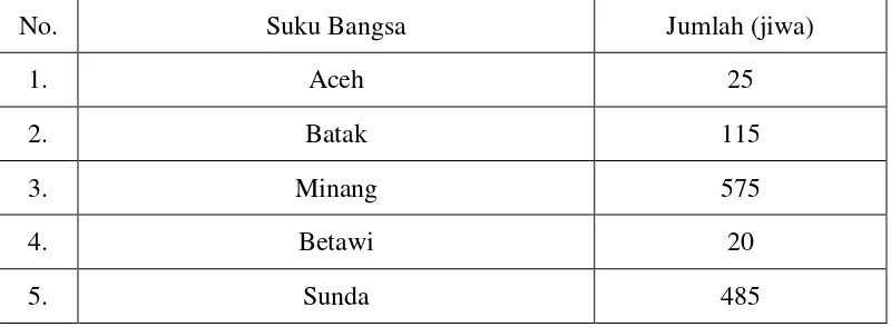 Tabel 5. Jumlah Suku Bangsa yang ada di Desa Beringin Raya Tahun 2013 