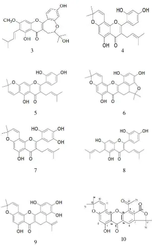Gambar 1. Struktur senyawa hasil isolasi Artocarpus altilis Park sikloartokarpin (1), artokarpin (2), kaplasin (3), morusin (4), kudraflavon B (5), sikloartobilosanton (6), artonin E (7), kudraflavon C (8), artobilosanton (9), artonol B (10)