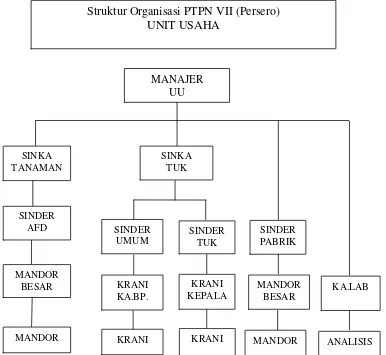 Gambar 3.  Struktur organisasi perusahaan PTPN VII (Persero), 2012 