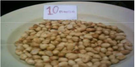 Gambar 10. Biji kacang tanah terkupas dengan penyangraian 5 menit 