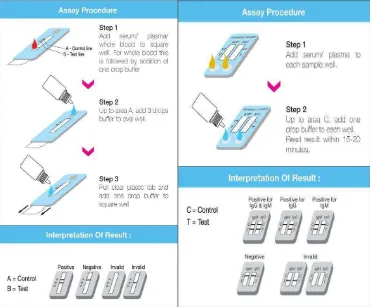 Gambar  7. Prosedur Typhidot (ICT Test) dan interpretasinya (sumber: www.reszonics.com/Typhidotn.d) 