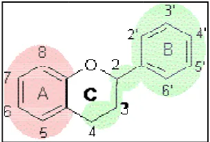 Gambar 2 StGtruktur kimiaa flavonoid