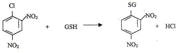 Gambar 16 Reaksi GSH dan CDNB 