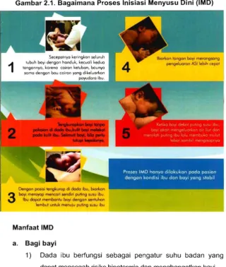 Gambar 2.1. Bagaimana Proses Inisiasi Menyusu Dini (IMD) 