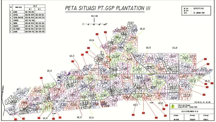 Gambar 2. Posisi 24 Petak di Lapangan (GGP,2011)