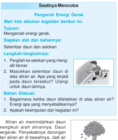 Gambar 8.1Daun-daunan dapat
