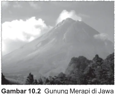 Gambar 10.2 Gunung Merapi di JawaTengah.