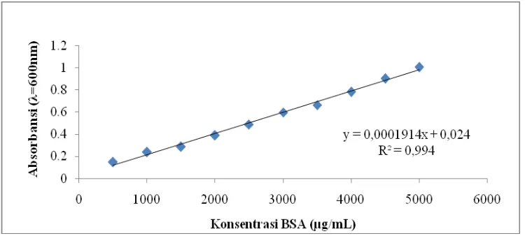 Tabel 5.   Absorbansi BSA pada berbagai konsentrasi untuk menentukan kurva standar protein 
