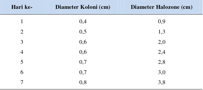 Tabel 7. Pertumbuhan koloni dan halozone isolat LTi-21-3 