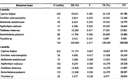 Table 5. Important Value Index Understorey vegetation 3 and 6 months following burning 