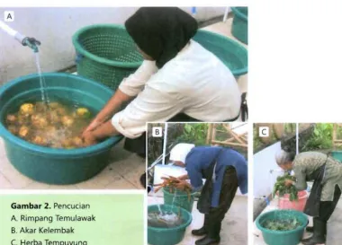 Gambar 2. Pencucian 
