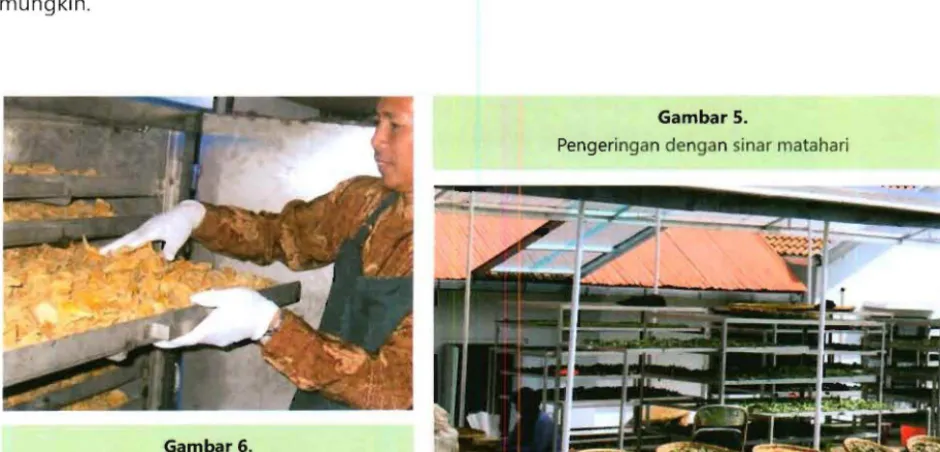 Gambar 5. Pengeringan dengan sinar matahari 