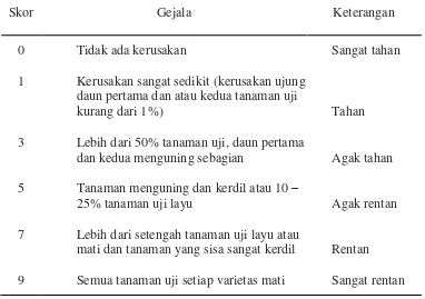 Tabel 5. Skoring berdasarkan kerusakan tanaman pada varietas pembeda (Baehaki, 2012 ;  IRRI, 2013)