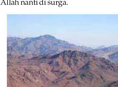Gambar 2.2 Gunung Sinai di Mesirtempat Nabi Musa bermunajat.