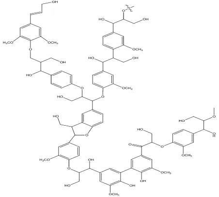Gambar 4. Struktur Lignin (Gregory, 2007) 