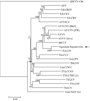 Fig. 2. Neighbor-joining phylogenetic tree produced using begomovirus DNA-A components