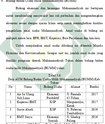 Tabel 3.6  Data AUM Bidang Badan Usaha Milik Muhammadiyah (BUMM) Kab. 