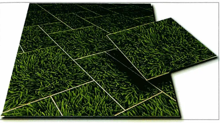 Figure 2.1: Example of Tiles (Tile Artisans Digital Imaging, 1999). 