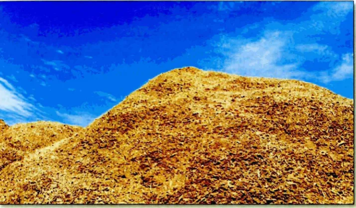 Figure 2.2: Example of Sawdust Waste (Feinberg, 2013). 