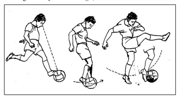 Gambar 1. Salah Satu Teknik Menendang Bola,yaitu Menggunakan         Punggung Kaki.          Sumber buku : Remmy Muchtar, 1992: 31 
