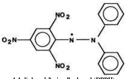 Gambar 2. Struktur DPPH ( Molyneux, 2003)1,1-diphenyl-2-picrylhydrazyl (DPPH)  