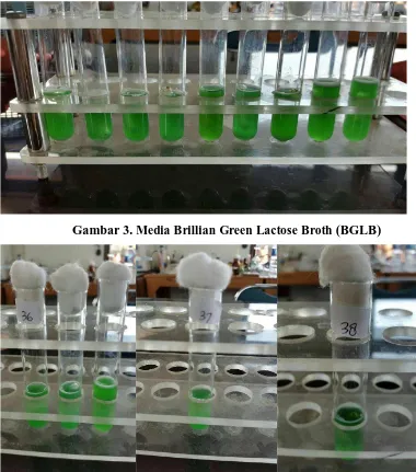 Gambar 3. Media Brillian Green Lactose Broth (BGLB) 