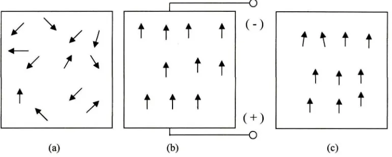 Figure 2.4 Poling process (a) Polar domains are oriented randomly ;(b) Polarization process when apply a 