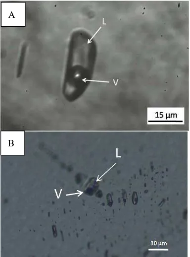 Figure 4 Photomicrograph of fluid inclusion shows liquid-rich  in DRK 11_221.95 (A) and sub-dendritic growth in 