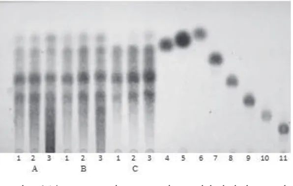 Gambar 6 hin Layer Chromatography produk hidrolisis umbi 