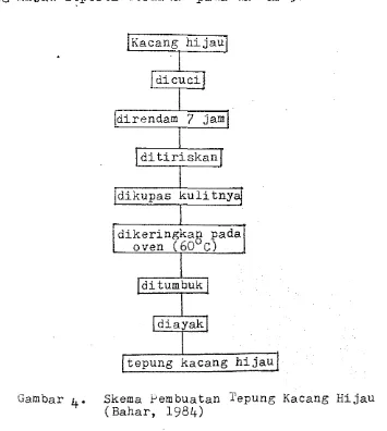 Gambar 4. Skema Pembuatan Tepung Kacang Hijau (Bahar, 1934) 