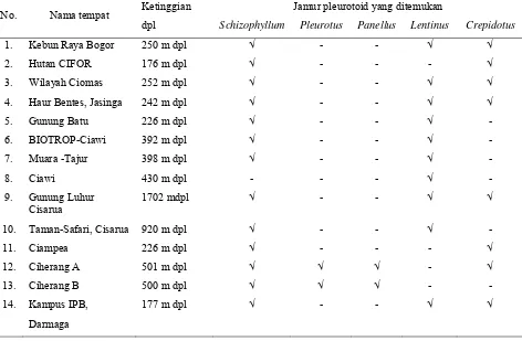 Tabel 1.1 Beberapa genus jamur pleurotoid pada beberapa lokasi di Kabupaten dan Kota Bogor pada bulan Mei 2004 