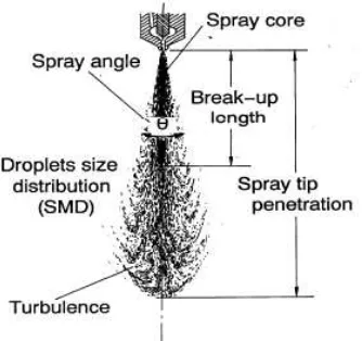 Figure 1-3 Characteristics parameter of diesel spray [17] 