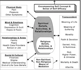 Fig. 1 A model of spiritual, religious, or other beliefs, activities, and relationships mediatingbetween domains of ordinary experience and transcendent concerns.