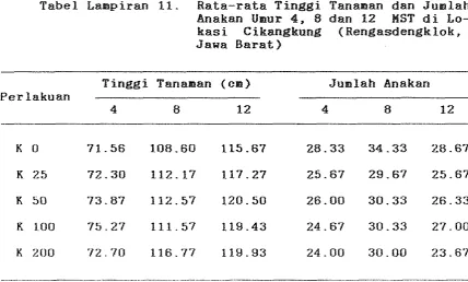 Tabel Lampiran 11. Rata-rata Tinggi Tanaman dan Junlah 