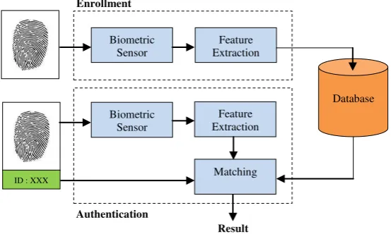 Fig 2 General Architecture of a Fingerprint Verification System 