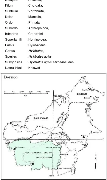 Gambar 2 Peta Penyebaran Kalawet  (H.a. albibarbis) (Chivers 2001) 