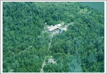 Gambar 6  Laboratorium Alam Hutan Gambut CIMTROP Universitas Palangkaraya (CIMTROP 2000) 