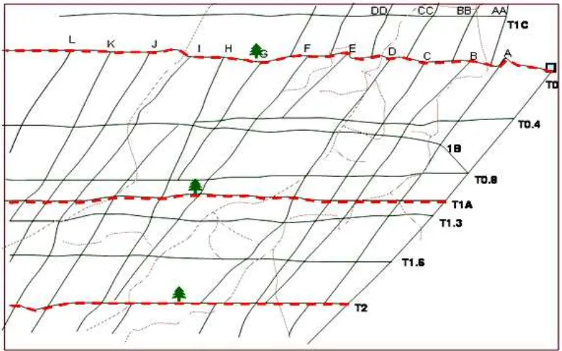 Gambar 8  Sketsa transek pengamatan (CIMTROP 2002) 