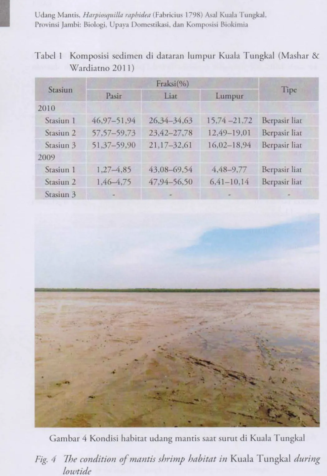 Tabel 1 Komposisi sedimen di dararan lumpur Kuala Tungkal (Mashar & 