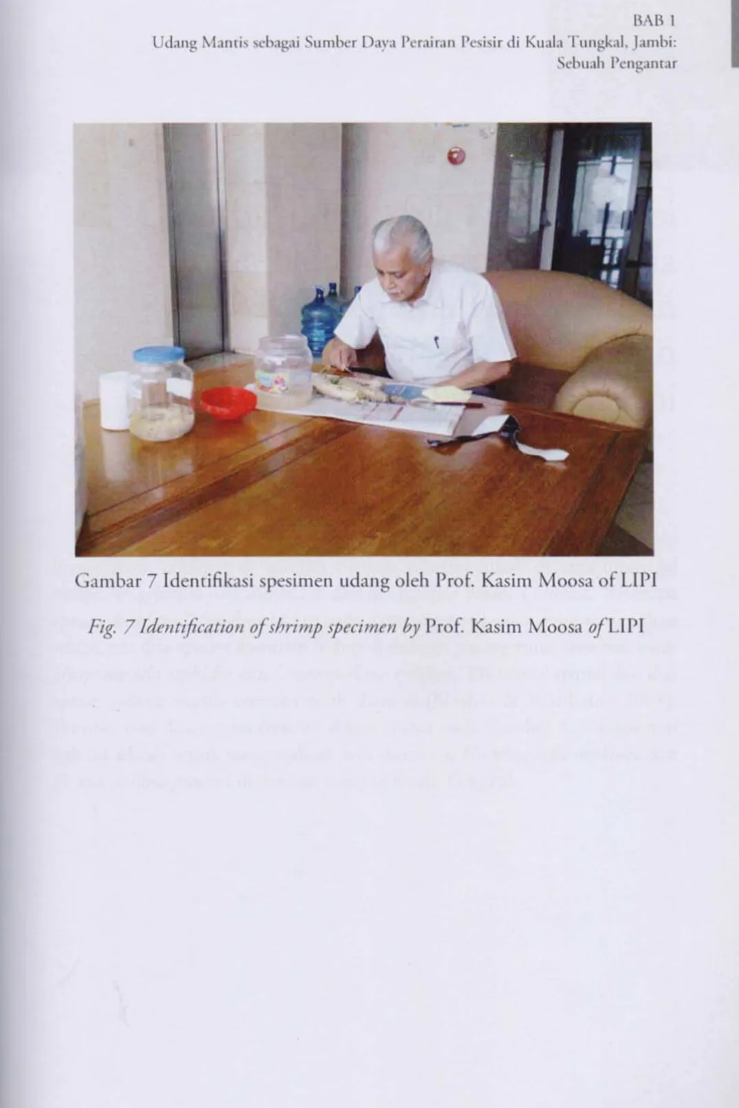 Gambar 7 Identifikasi spesirnen udang oleh Prof. Kasirn Moosa of LIPI 