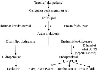 Gambar 1. Biosintesis Prostaglandin (Wilmana dan Gan, 1995) 